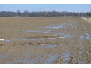 Property photo 136 - MAJOR OHIO LAND AUCTION 710+/- ACRES OFFERED IN 11 TRACTS OR IN COMBINATIONS IN DEFIANCE AND PAULDING COUNTIES, OH