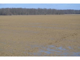 Property photo 137 - MAJOR OHIO LAND AUCTION 710+/- ACRES OFFERED IN 11 TRACTS OR IN COMBINATIONS IN DEFIANCE AND PAULDING COUNTIES, OH
