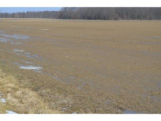 Property photo 138 - MAJOR OHIO LAND AUCTION 710+/- ACRES OFFERED IN 11 TRACTS OR IN COMBINATIONS IN DEFIANCE AND PAULDING COUNTIES, OH