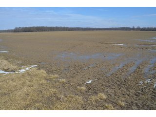 Property photo 139 - MAJOR OHIO LAND AUCTION 710+/- ACRES OFFERED IN 11 TRACTS OR IN COMBINATIONS IN DEFIANCE AND PAULDING COUNTIES, OH