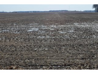 Property photo 140 - MAJOR OHIO LAND AUCTION 710+/- ACRES OFFERED IN 11 TRACTS OR IN COMBINATIONS IN DEFIANCE AND PAULDING COUNTIES, OH