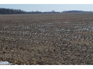Property photo 141 - MAJOR OHIO LAND AUCTION 710+/- ACRES OFFERED IN 11 TRACTS OR IN COMBINATIONS IN DEFIANCE AND PAULDING COUNTIES, OH