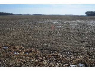 Property photo 144 - MAJOR OHIO LAND AUCTION 710+/- ACRES OFFERED IN 11 TRACTS OR IN COMBINATIONS IN DEFIANCE AND PAULDING COUNTIES, OH