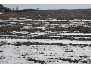 Property photo 145 - MAJOR OHIO LAND AUCTION 710+/- ACRES OFFERED IN 11 TRACTS OR IN COMBINATIONS IN DEFIANCE AND PAULDING COUNTIES, OH