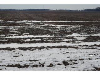 Property photo 146 - MAJOR OHIO LAND AUCTION 710+/- ACRES OFFERED IN 11 TRACTS OR IN COMBINATIONS IN DEFIANCE AND PAULDING COUNTIES, OH