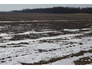 Property photo 147 - MAJOR OHIO LAND AUCTION 710+/- ACRES OFFERED IN 11 TRACTS OR IN COMBINATIONS IN DEFIANCE AND PAULDING COUNTIES, OH