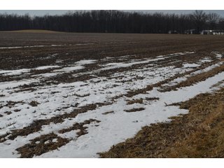 Property photo 148 - MAJOR OHIO LAND AUCTION 710+/- ACRES OFFERED IN 11 TRACTS OR IN COMBINATIONS IN DEFIANCE AND PAULDING COUNTIES, OH