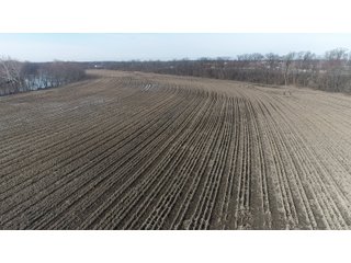 Property photo 31 - MAJOR OHIO LAND AUCTION 710+/- ACRES OFFERED IN 11 TRACTS OR IN COMBINATIONS IN DEFIANCE AND PAULDING COUNTIES, OH