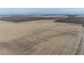 Property photo 27 - MAJOR OHIO LAND AUCTION 710+/- ACRES OFFERED IN 11 TRACTS OR IN COMBINATIONS IN DEFIANCE AND PAULDING COUNTIES, OH