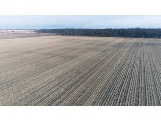 Property photo 23 - MAJOR OHIO LAND AUCTION 710+/- ACRES OFFERED IN 11 TRACTS OR IN COMBINATIONS IN DEFIANCE AND PAULDING COUNTIES, OH