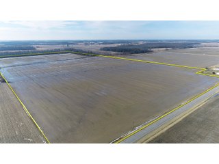 Property photo 3 - MAJOR OHIO LAND AUCTION 710+/- ACRES OFFERED IN 11 TRACTS OR IN COMBINATIONS IN DEFIANCE AND PAULDING COUNTIES, OH