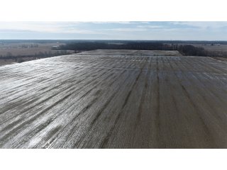 Property photo 19 - MAJOR OHIO LAND AUCTION 710+/- ACRES OFFERED IN 11 TRACTS OR IN COMBINATIONS IN DEFIANCE AND PAULDING COUNTIES, OH