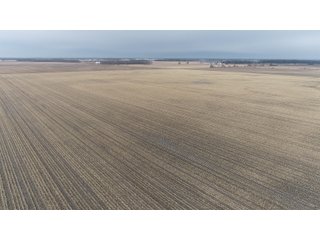 Property photo 16 - MAJOR OHIO LAND AUCTION 710+/- ACRES OFFERED IN 11 TRACTS OR IN COMBINATIONS IN DEFIANCE AND PAULDING COUNTIES, OH