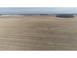 Property photo 15 - MAJOR OHIO LAND AUCTION 710+/- ACRES OFFERED IN 11 TRACTS OR IN COMBINATIONS IN DEFIANCE AND PAULDING COUNTIES, OH