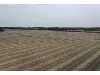 Property photo 14 - LAND AUCTION - 90+/- ACRES - DEFIANCE COUNTY, OH