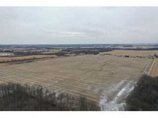 Property photo 13 - LAND AUCTION - 90+/- ACRES - DEFIANCE COUNTY, OH
