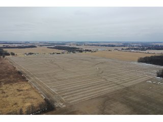 Property photo 11 - LAND AUCTION - 90+/- ACRES - DEFIANCE COUNTY, OH