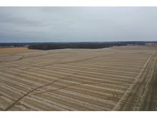 Property photo 9 - LAND AUCTION - 90+/- ACRES - DEFIANCE COUNTY, OH