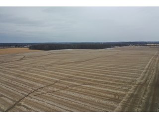 Property photo 2 - LAND AUCTION - 90+/- ACRES - DEFIANCE COUNTY, OH
