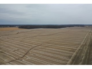 Property photo 7 - LAND AUCTION - 90+/- ACRES - DEFIANCE COUNTY, OH