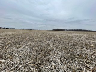 Property photo 6 - LAND AUCTION - 90+/- ACRES - DEFIANCE COUNTY, OH