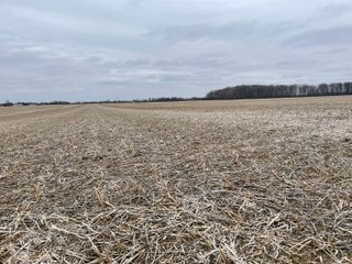 Property photo 5 - LAND AUCTION - 90+/- ACRES - DEFIANCE COUNTY, OH