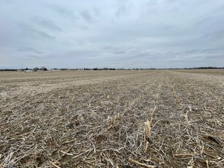 Property photo 4 - LAND AUCTION - 90+/- ACRES - DEFIANCE COUNTY, OH