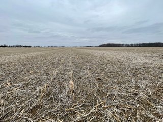 Property photo 3 - LAND AUCTION - 90+/- ACRES - DEFIANCE COUNTY, OH