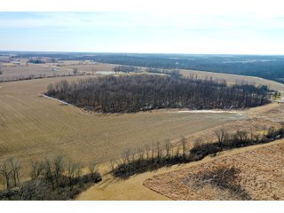 Property photo 17 - LAND AUCTION 466+/- ACRES OFFERED IN 10 TRACTS IN GRANT COUNTY, INDIANA