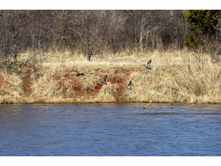 Property photo 22 - OUTSTANDING LAND AUCTION 1,062+/- ACRES OFFERED IN 12 TRACTS OR IN COMBINATION IN POTTAWATOMIE, OK