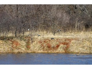 Property photo 23 - OUTSTANDING LAND AUCTION 1,062+/- ACRES OFFERED IN 12 TRACTS OR IN COMBINATION IN POTTAWATOMIE, OK
