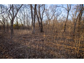 Property photo 62 - OUTSTANDING LAND AUCTION 1,062+/- ACRES OFFERED IN 12 TRACTS OR IN COMBINATION IN POTTAWATOMIE, OK