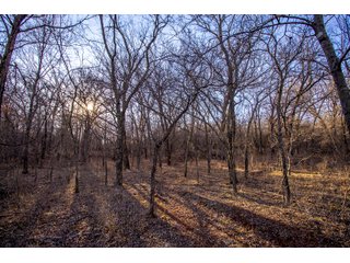 Property photo 79 - OUTSTANDING LAND AUCTION 1,062+/- ACRES OFFERED IN 12 TRACTS OR IN COMBINATION IN POTTAWATOMIE, OK