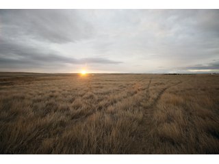 Property photo 18 - SEALED BID AUCTION 1,120+/- ACRES OFFERED IN 2 TRACT IN CHOUTEAU COUNTY, MONTANA