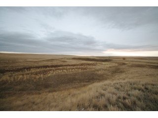 Property photo 15 - SEALED BID AUCTION 1,120+/- ACRES OFFERED IN 2 TRACT IN CHOUTEAU COUNTY, MONTANA