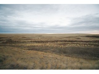 Property photo 14 - SEALED BID AUCTION 1,120+/- ACRES OFFERED IN 2 TRACT IN CHOUTEAU COUNTY, MONTANA