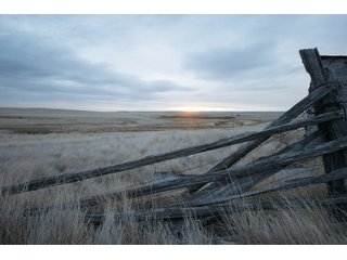Property photo 11 - SEALED BID AUCTION 1,120+/- ACRES OFFERED IN 2 TRACT IN CHOUTEAU COUNTY, MONTANA