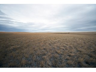 Property photo 10 - SEALED BID AUCTION 1,120+/- ACRES OFFERED IN 2 TRACT IN CHOUTEAU COUNTY, MONTANA