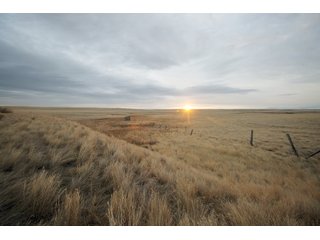 Property photo 8 - SEALED BID AUCTION 1,120+/- ACRES OFFERED IN 2 TRACT IN CHOUTEAU COUNTY, MONTANA