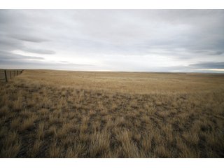 Property photo 7 - SEALED BID AUCTION 1,120+/- ACRES OFFERED IN 2 TRACT IN CHOUTEAU COUNTY, MONTANA