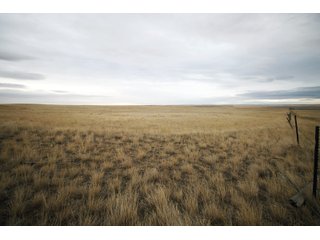 Property photo 3 - SEALED BID AUCTION 1,120+/- ACRES OFFERED IN 2 TRACT IN CHOUTEAU COUNTY, MONTANA