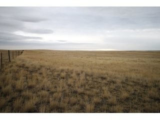 Property photo 5 - SEALED BID AUCTION 1,120+/- ACRES OFFERED IN 2 TRACT IN CHOUTEAU COUNTY, MONTANA