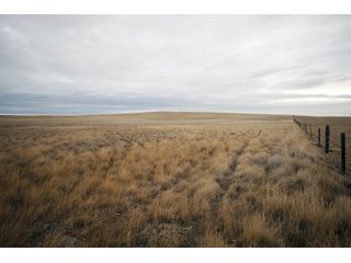 Property photo 4 - SEALED BID AUCTION 1,120+/- ACRES OFFERED IN 2 TRACT IN CHOUTEAU COUNTY, MONTANA