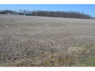 Property photo 25 - LAND AUCTION 77+/- ACRES OFFERED IN 8 TRACTS OR IN COMBINATION; PLUS 1 COMMERCIAL LOT IN HARLAN