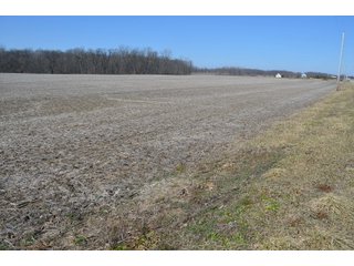 Property photo 26 - LAND AUCTION 77+/- ACRES OFFERED IN 8 TRACTS OR IN COMBINATION; PLUS 1 COMMERCIAL LOT IN HARLAN