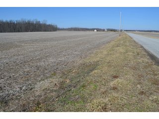 Property photo 27 - LAND AUCTION 77+/- ACRES OFFERED IN 8 TRACTS OR IN COMBINATION; PLUS 1 COMMERCIAL LOT IN HARLAN