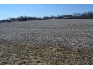 Property photo 28 - LAND AUCTION 77+/- ACRES OFFERED IN 8 TRACTS OR IN COMBINATION; PLUS 1 COMMERCIAL LOT IN HARLAN