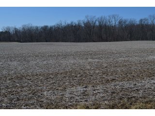 Property photo 30 - LAND AUCTION 77+/- ACRES OFFERED IN 8 TRACTS OR IN COMBINATION; PLUS 1 COMMERCIAL LOT IN HARLAN