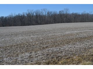 Property photo 31 - LAND AUCTION 77+/- ACRES OFFERED IN 8 TRACTS OR IN COMBINATION; PLUS 1 COMMERCIAL LOT IN HARLAN