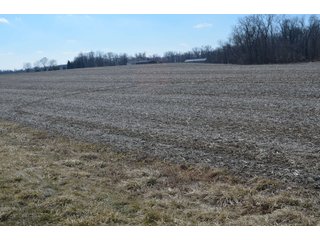 Property photo 32 - LAND AUCTION 77+/- ACRES OFFERED IN 8 TRACTS OR IN COMBINATION; PLUS 1 COMMERCIAL LOT IN HARLAN